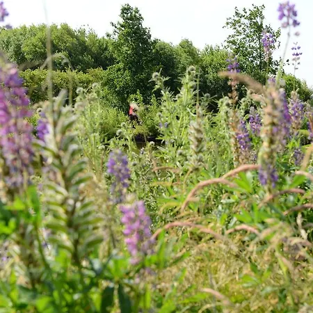 公寓 斯图克森里伯度假小屋及公寓酒店