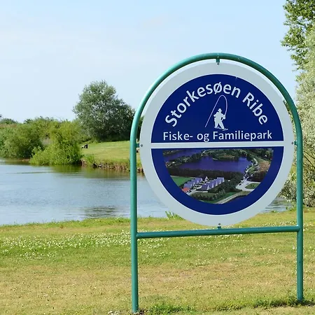 Storkesoen And Apartment Ribe